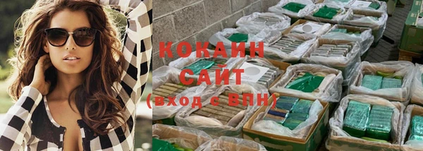 индика Снежногорск