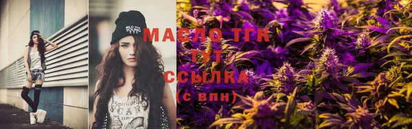 индика Снежногорск