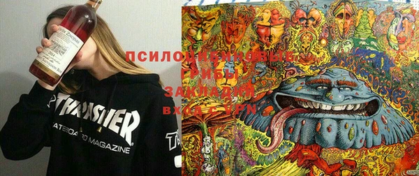 спиды Снежинск