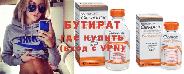 индика Снежногорск